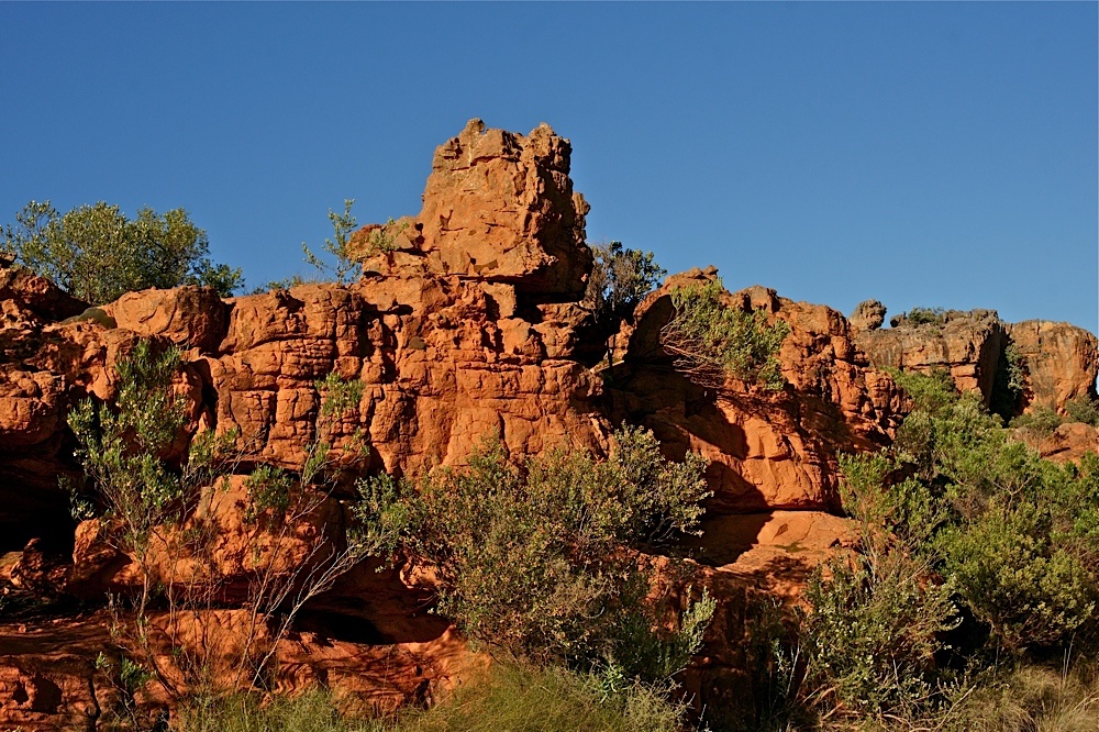 In den Cederberg Mountains (5)