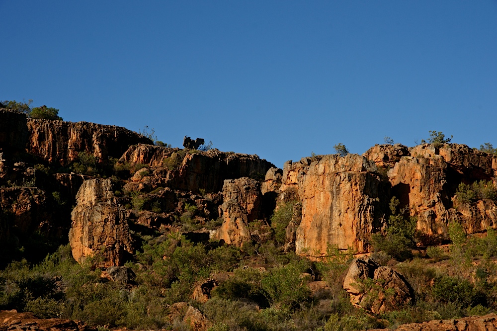 In den Cederberg Mountains (7)