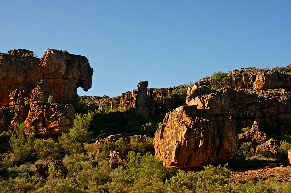 In den Cederberg Mountains (8)