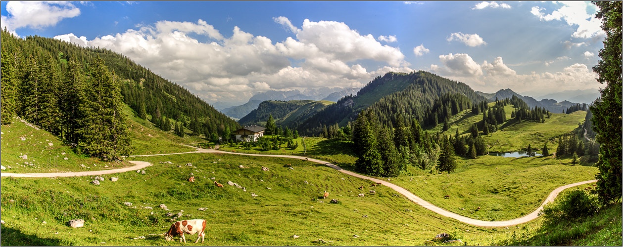 In den Chiemgauer Alpen