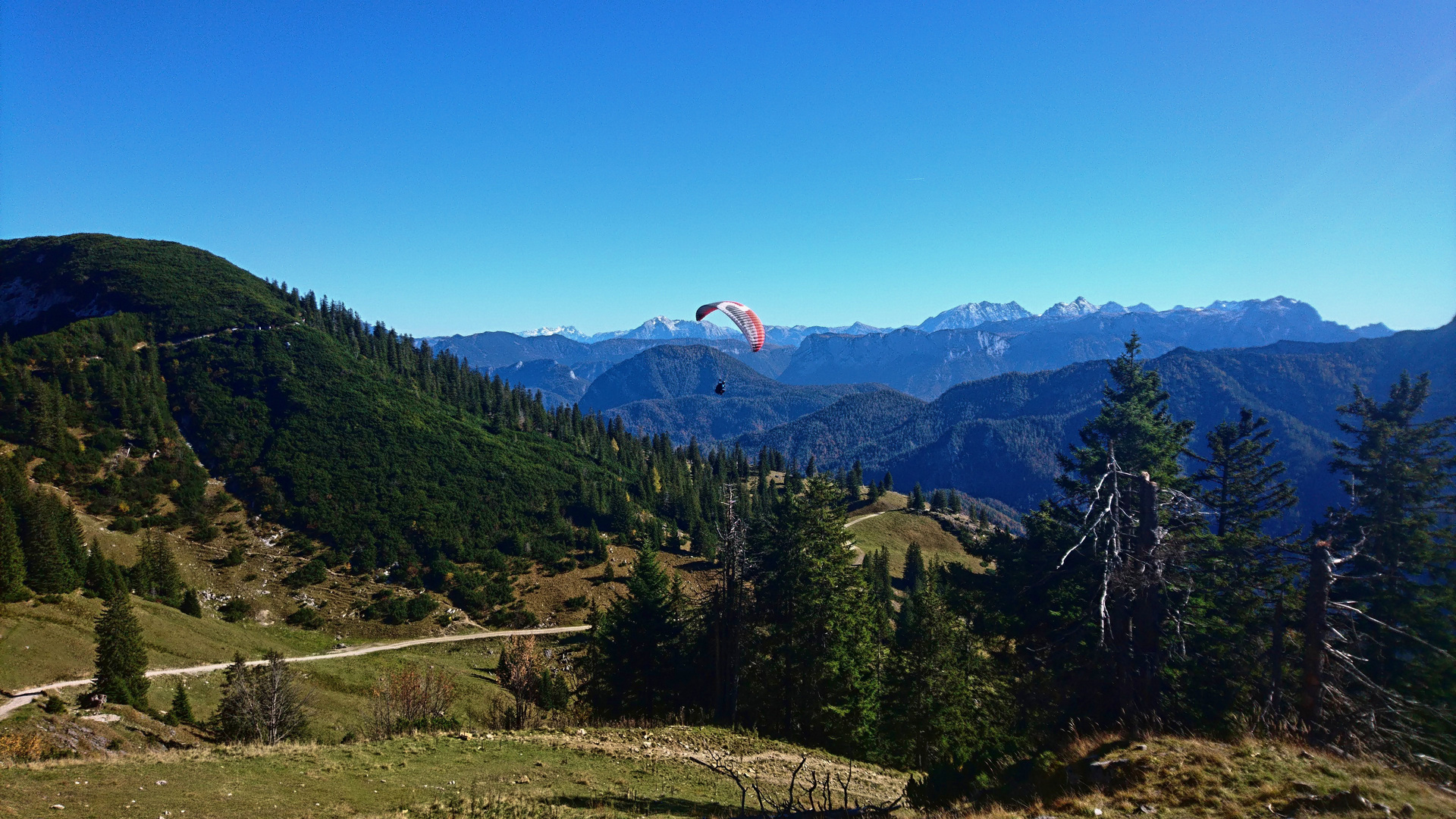 In den Chiemgauer Alpen