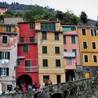 - in den  CINQUE TERRE -