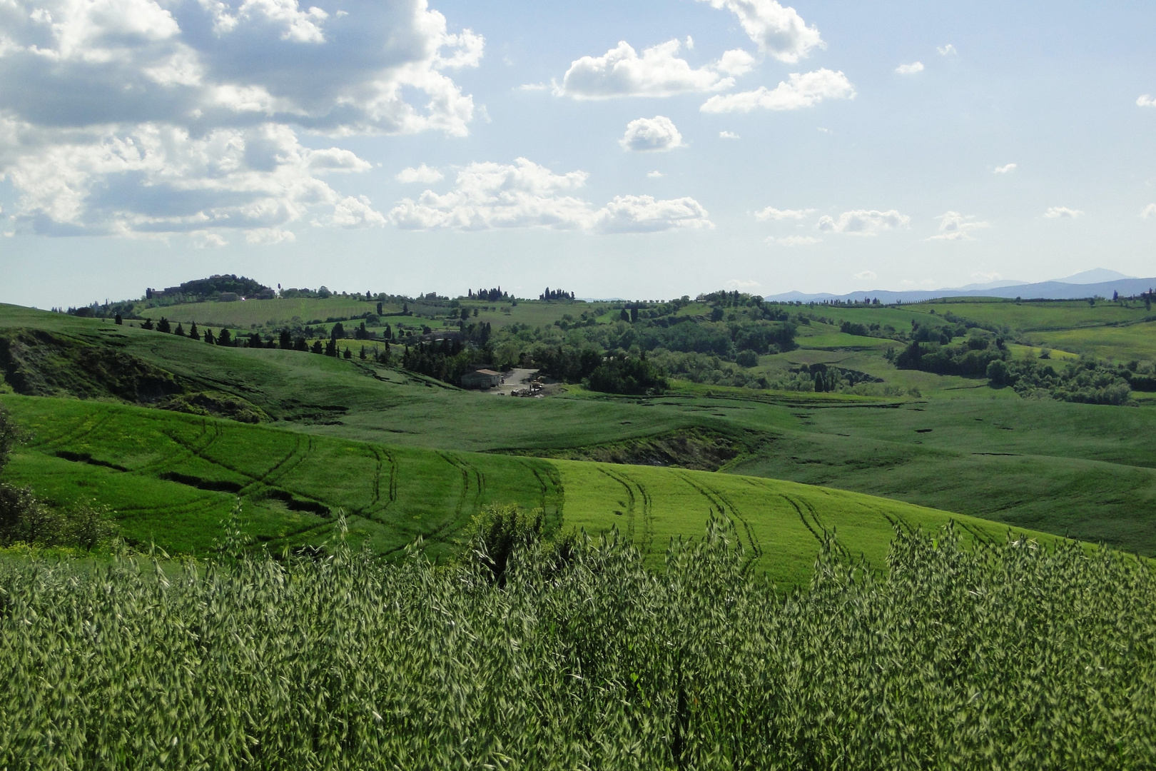 In den Crete Senesi