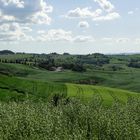 In den Crete Senesi