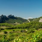 In den "Dentelles de Montmirail"-01