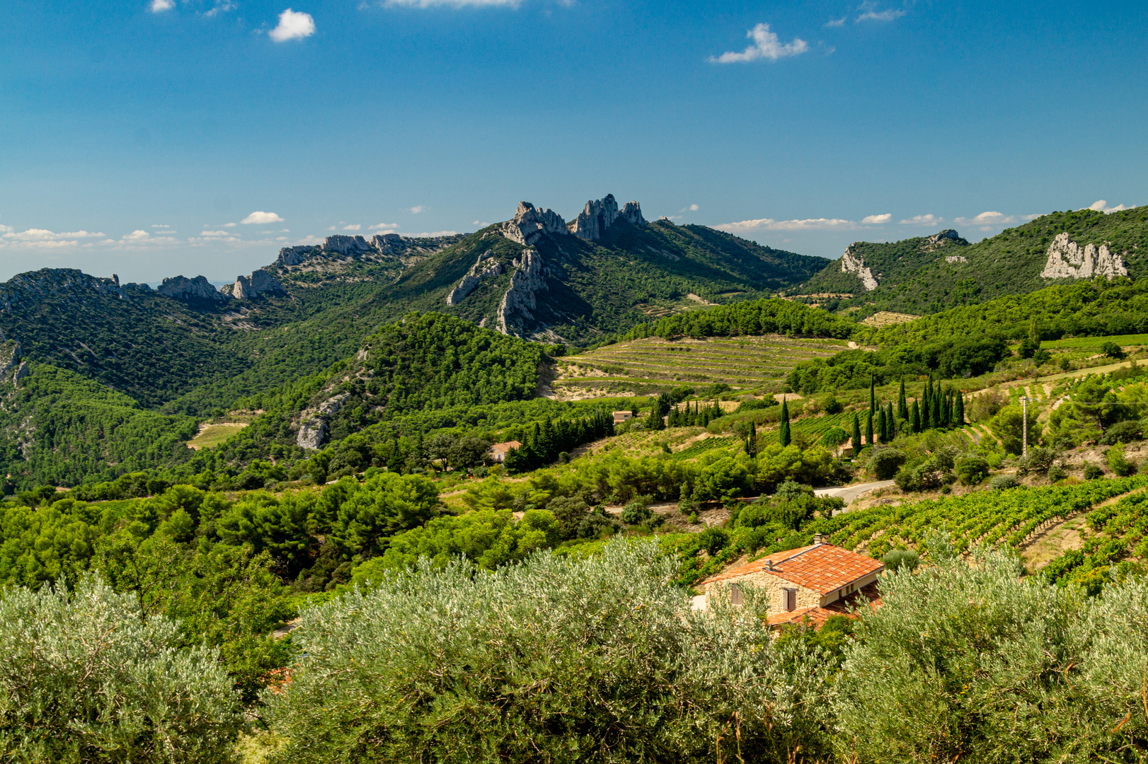 In den "Dentelles de Montmirail"-02