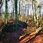 In den Dolinen - Wuppertal-Langerfeld