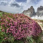 " in den Dolomiten"