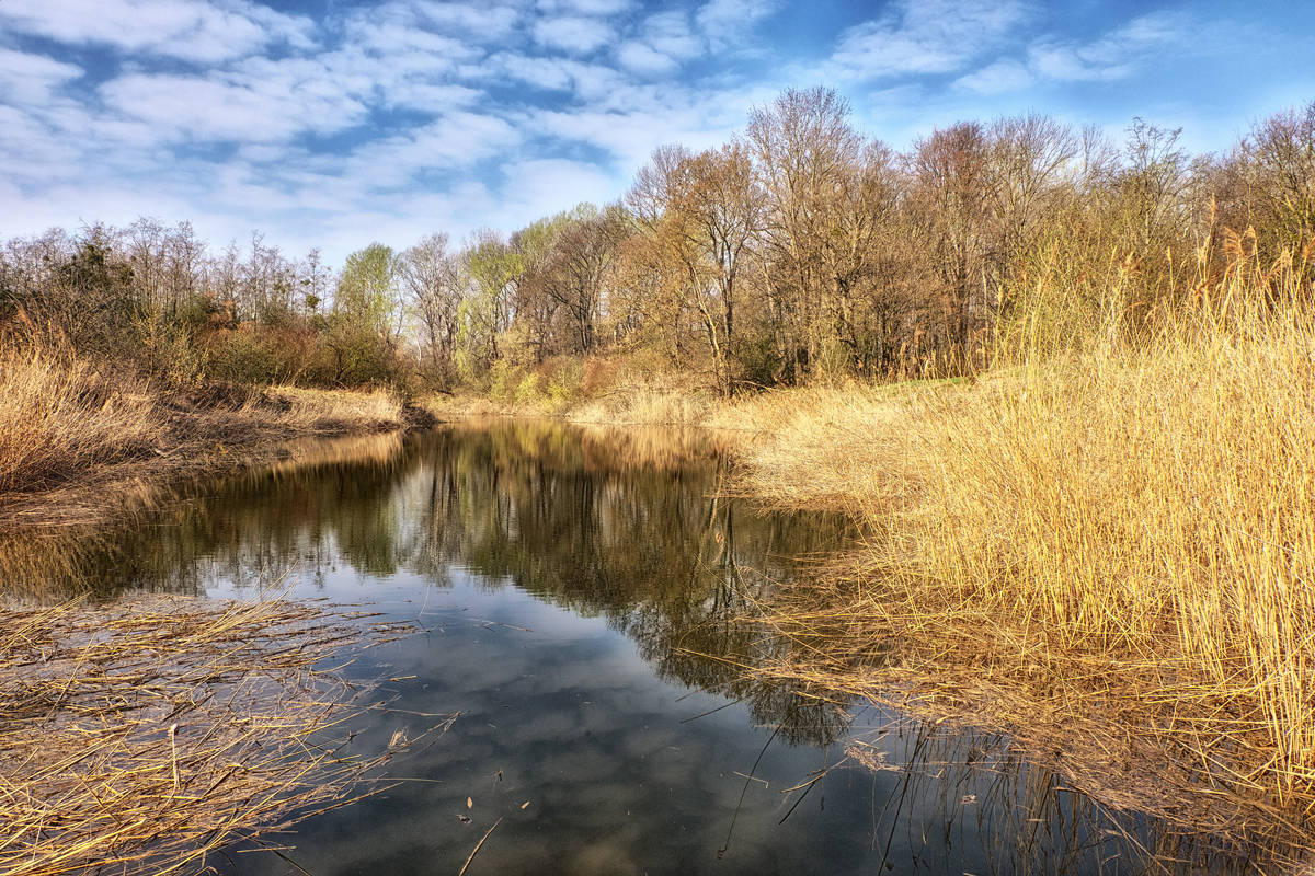 In den Donauauen 