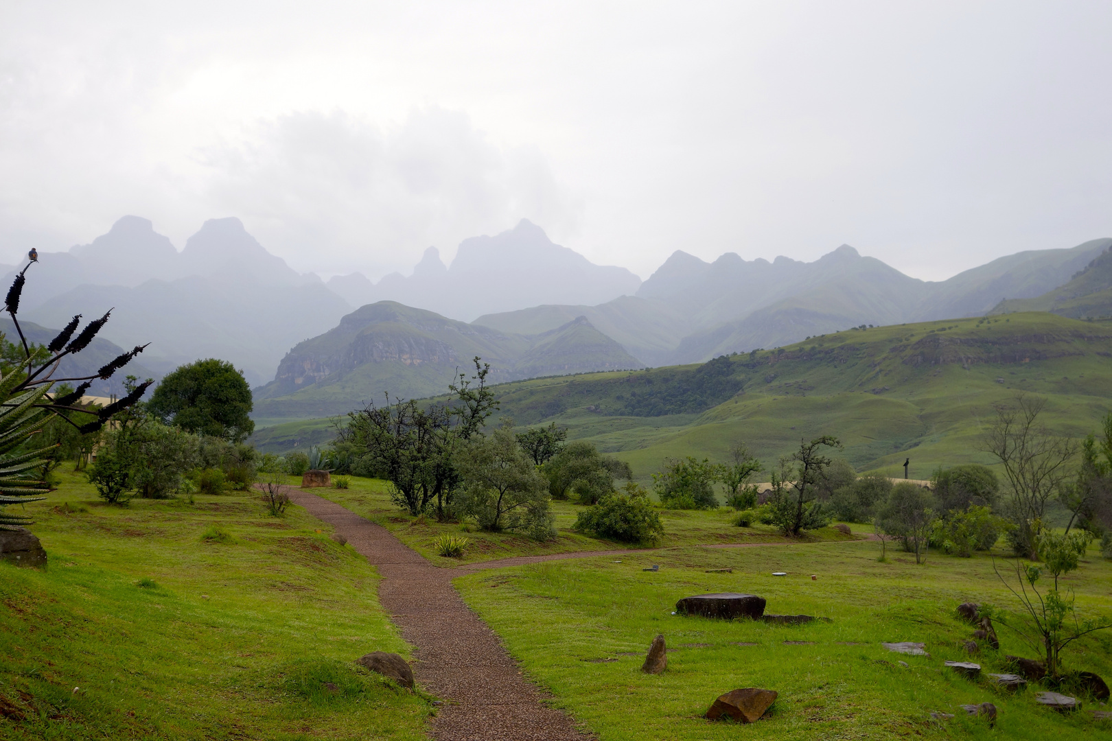 In den Drakensbergen, SA