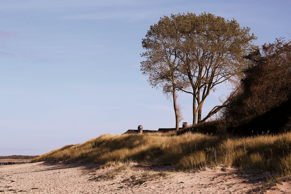 In den Dünen