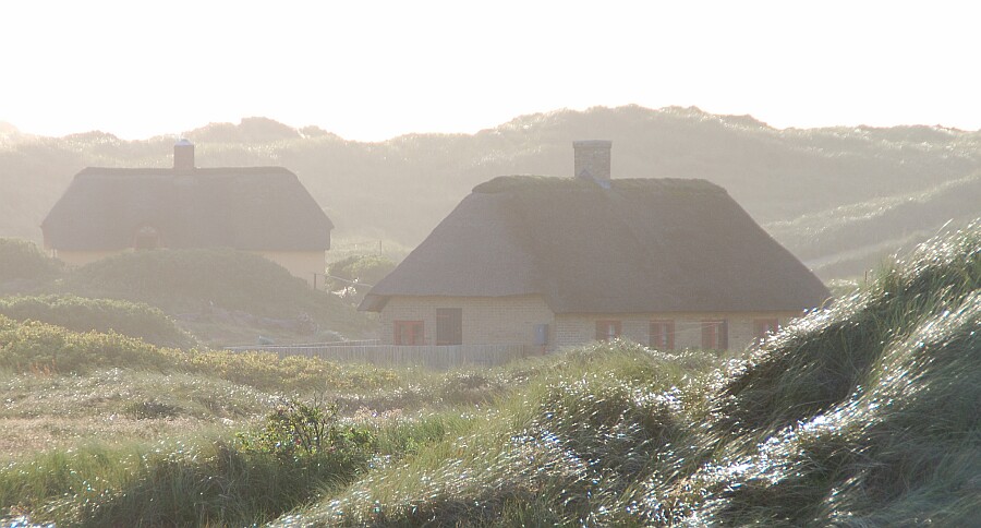 In den Dünen