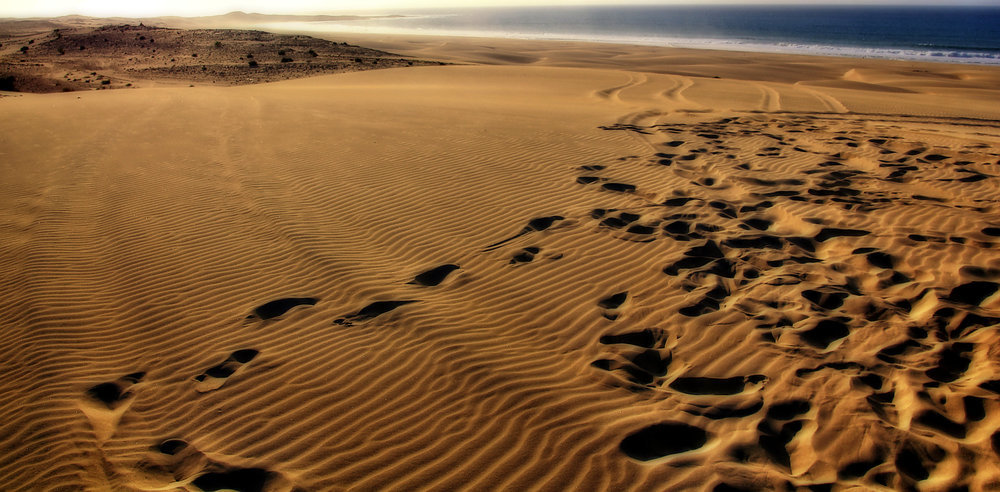 in den Dünen auf Boa Vista