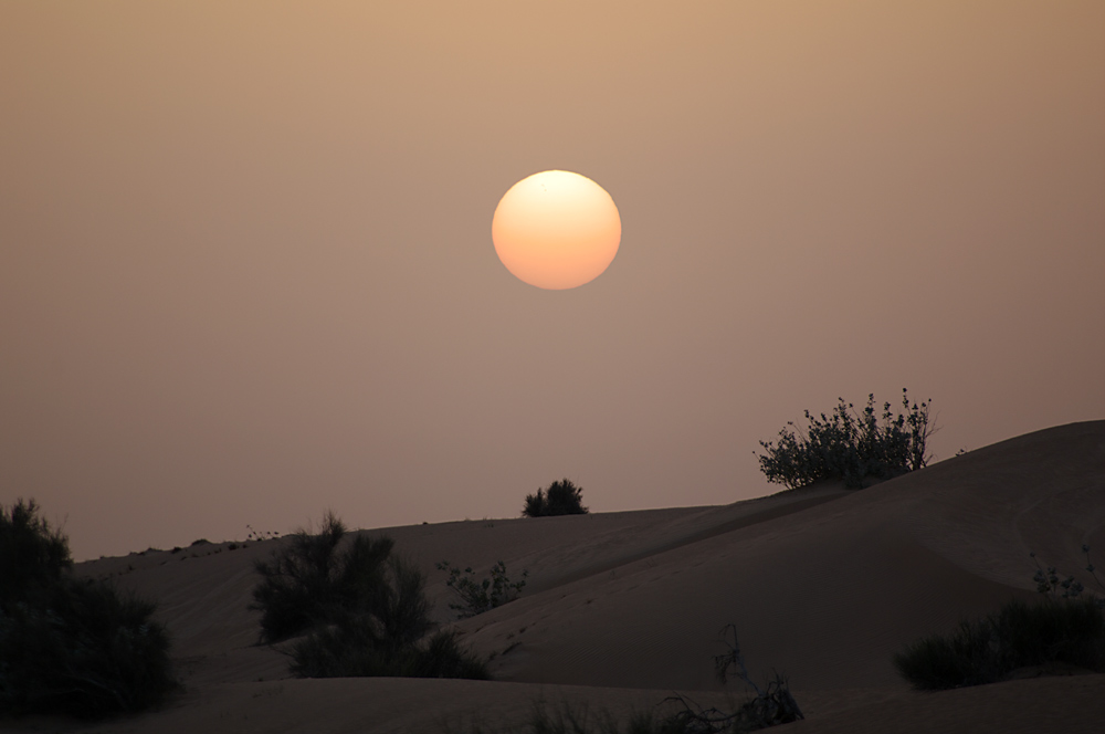 In den Dünen bei Dubai