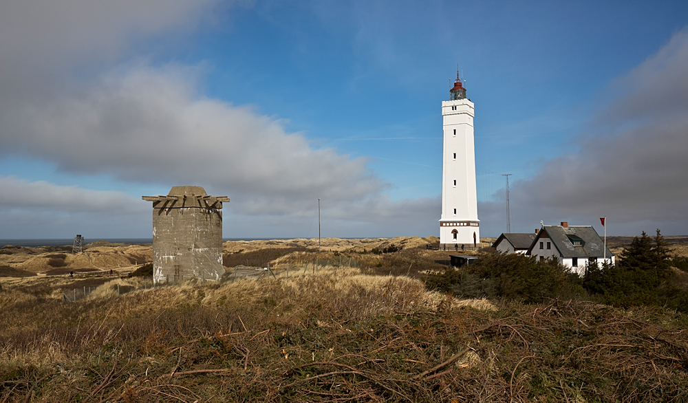 In den Dünen