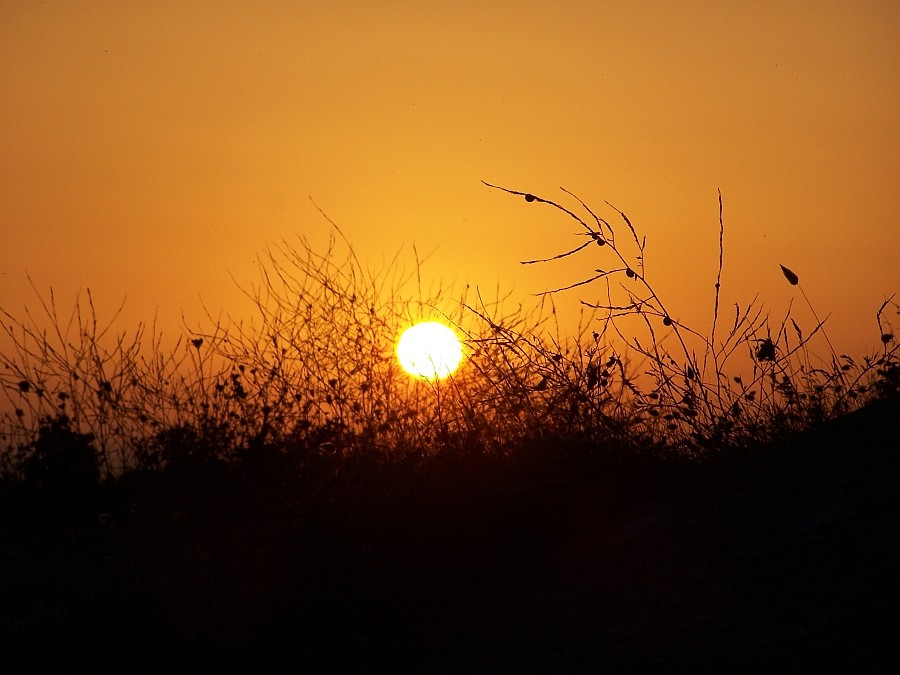 In den Dünen der Bretagne