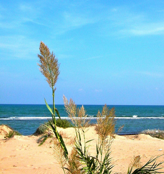 ...in den Dünen der Costa Blanca...