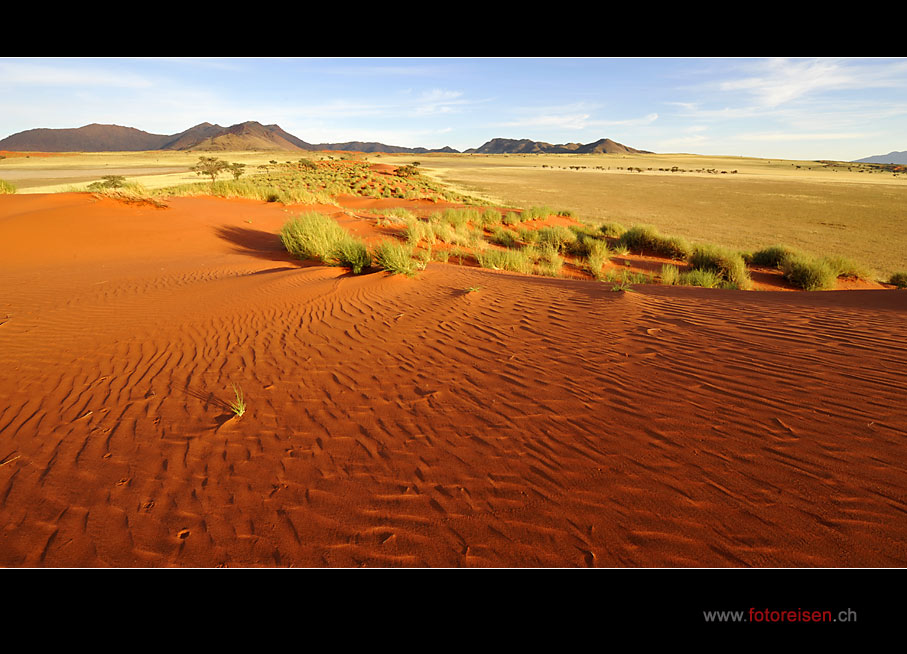 In den Dünen der Namib