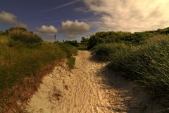In den Dünen der Ostsee