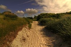 In den Dünen der Ostsee