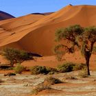 In den Dünen des Sossusvlei