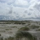 In den Dünen, Kniepsand, Amrum