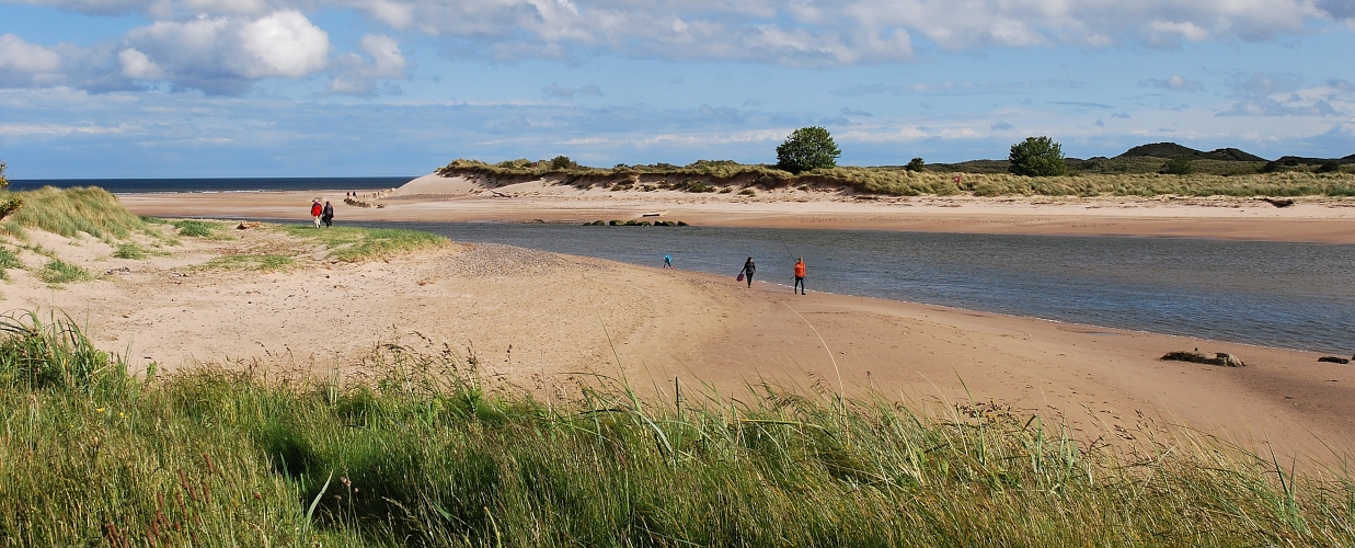 in den Dünen Nortumberlands