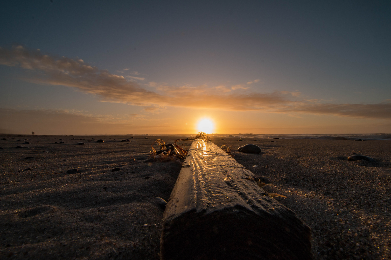 In den Dünen und am Meer bei Hvide Sande