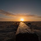 In den Dünen und am Meer bei Hvide Sande