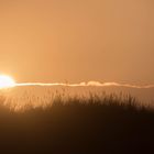 In den Dünen und am Meer bei Hvide Sande