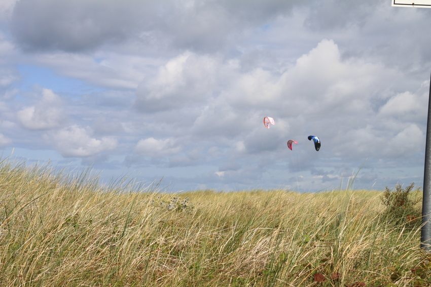 in den Dünen von Ahrenshoop