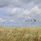 in den Dünen von Ahrenshoop