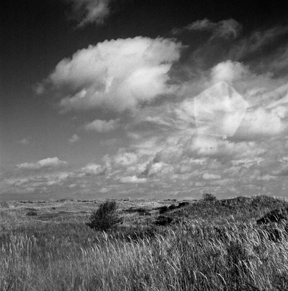 In den Dünen von Ameland