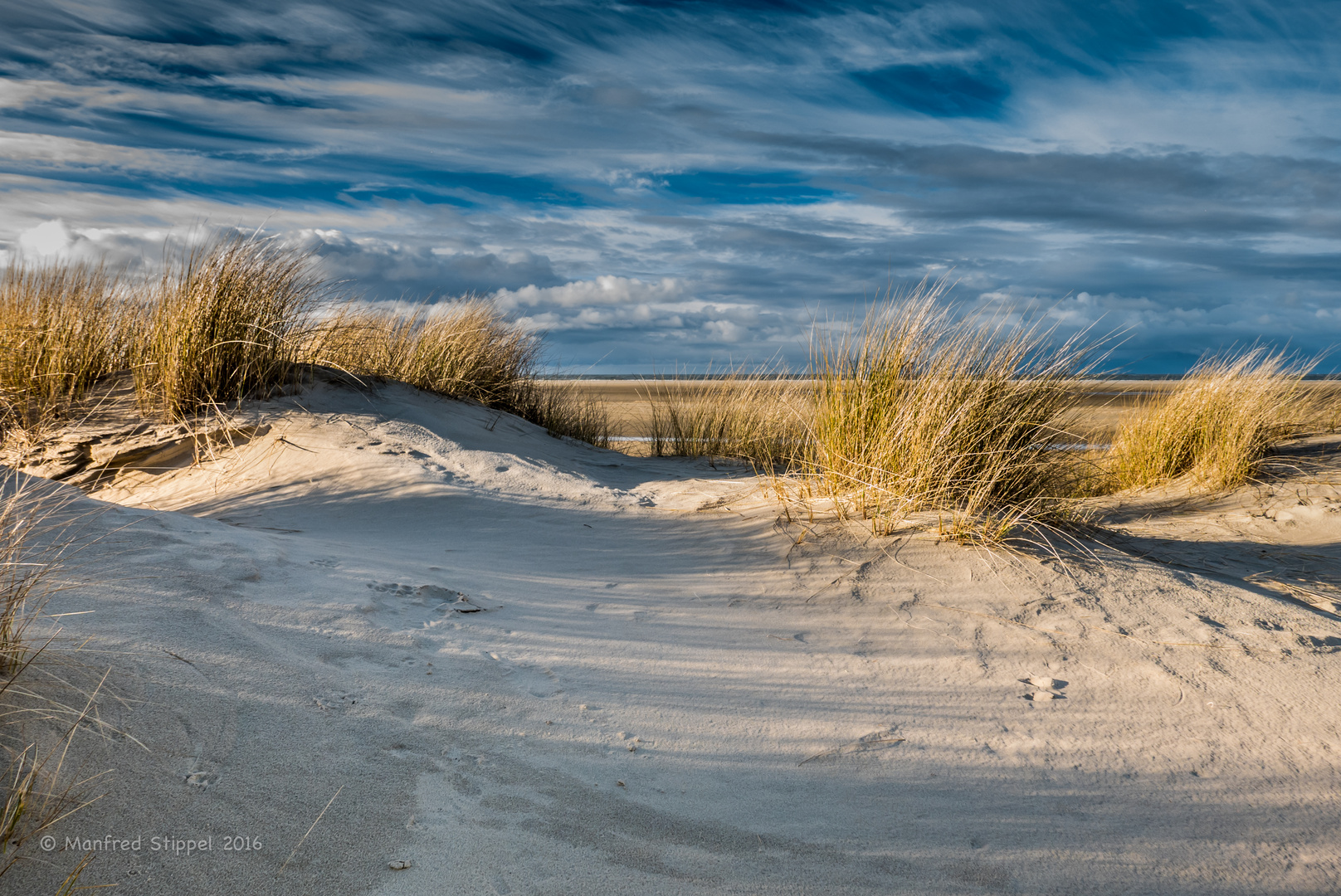 In den Dünen von Borkum