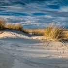 In den Dünen von Borkum