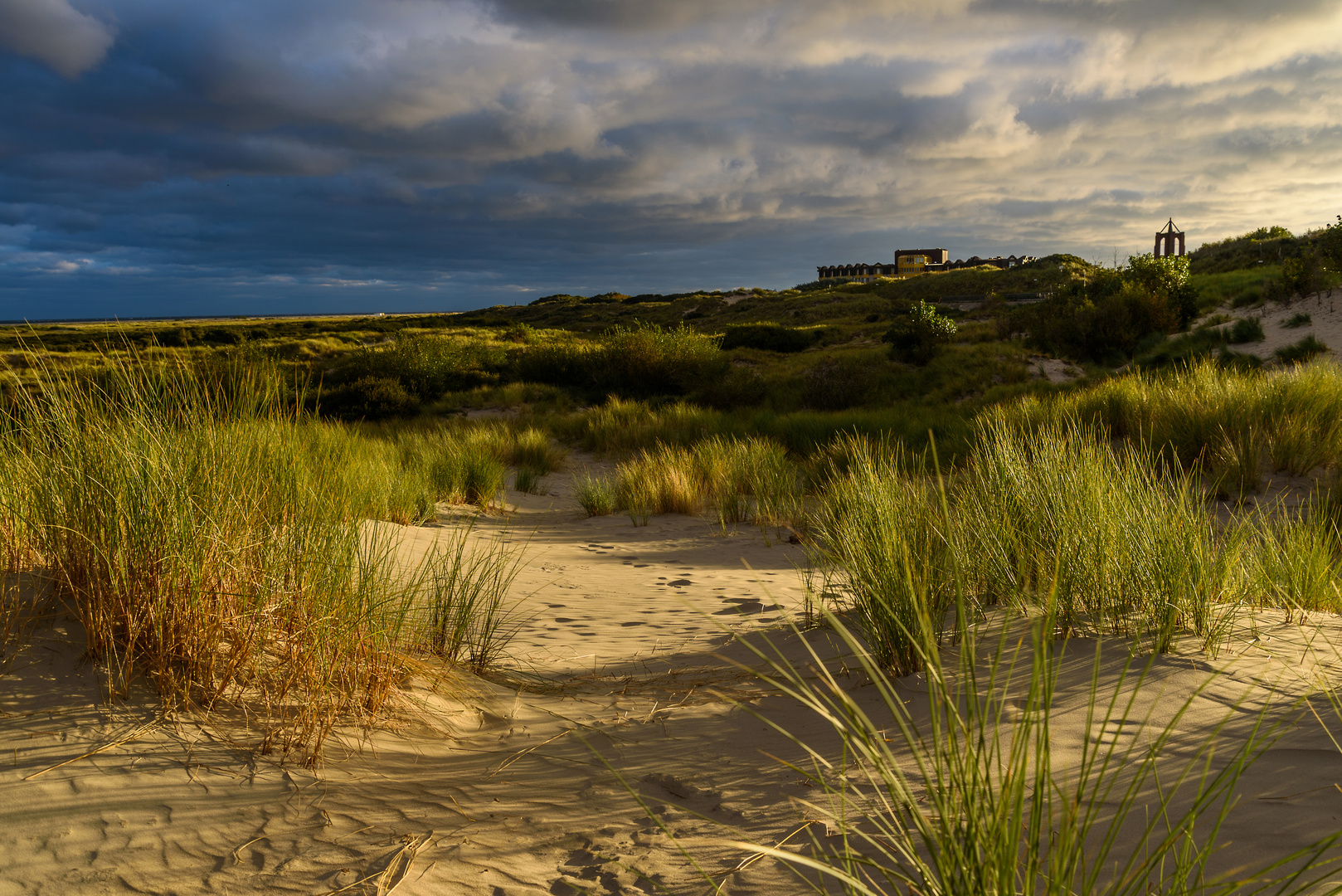 In den Dünen von Borkum