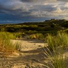 In den Dünen von Borkum