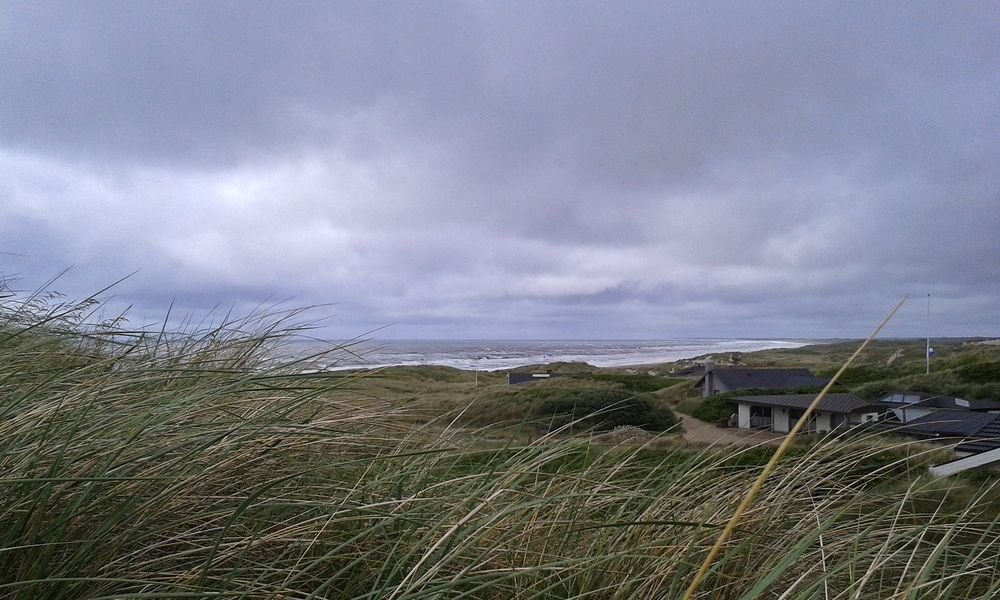 .... in den Dünen von Hennestrand