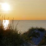 IN DEN DÜNEN VON HIDDENSEE