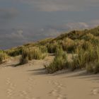 In den Dünen von Langeoog