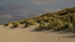 In den Dünen von Langeoog