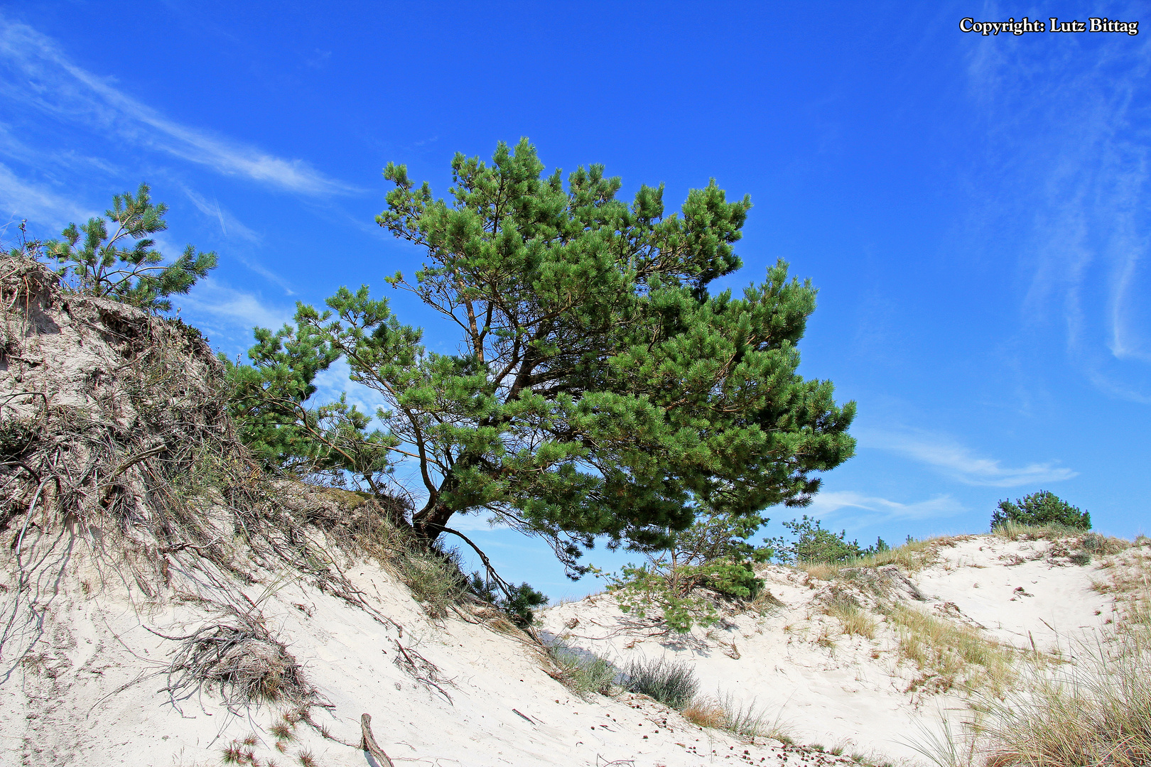 In den Dünen von Leba