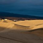 In den Dünen von Maspalomas