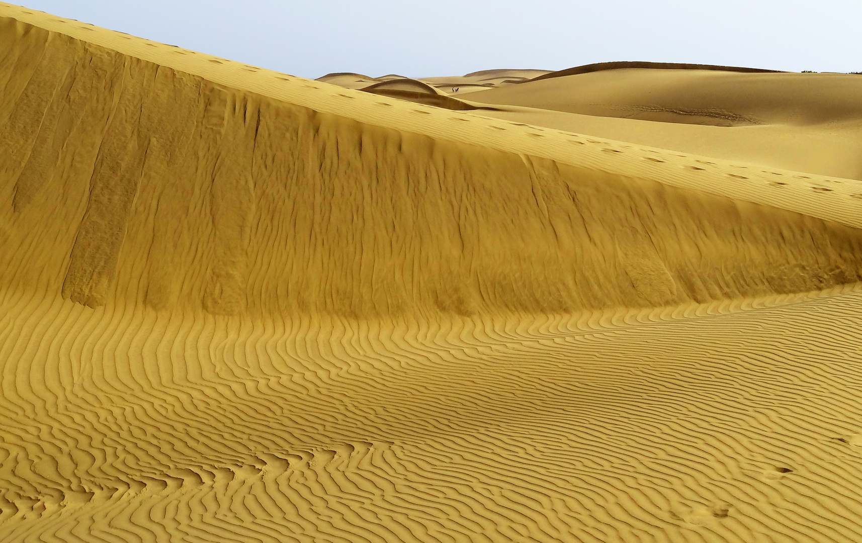 In den Dünen von Maspalomas