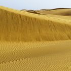 In den Dünen von Maspalomas