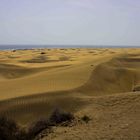 In den Dünen von Maspalomas