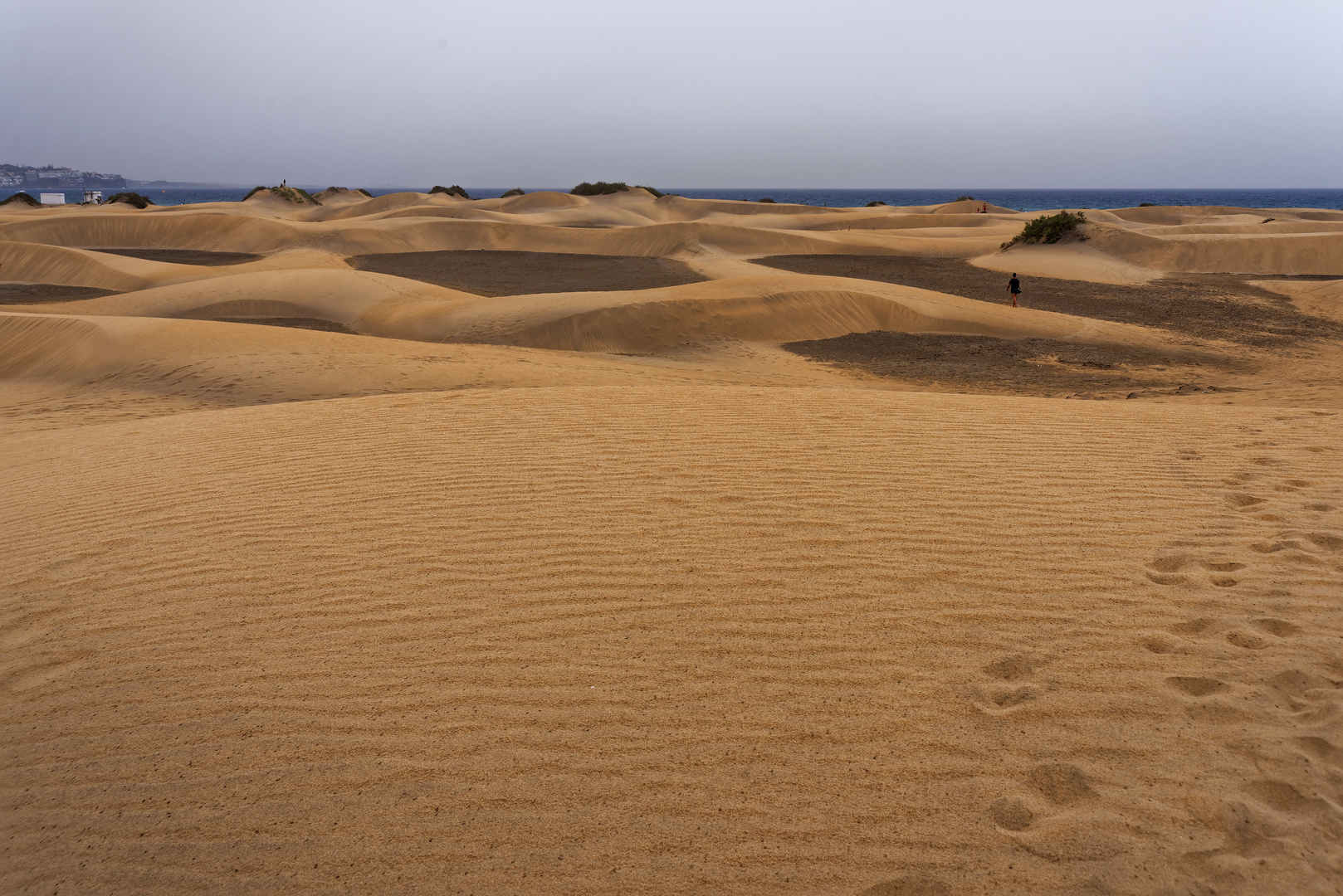 in den Dünen von Maspalomas