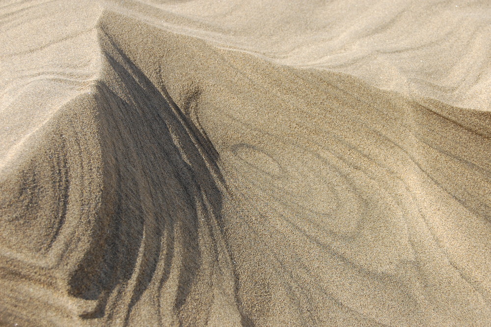 In den Dünen von Maspalomas