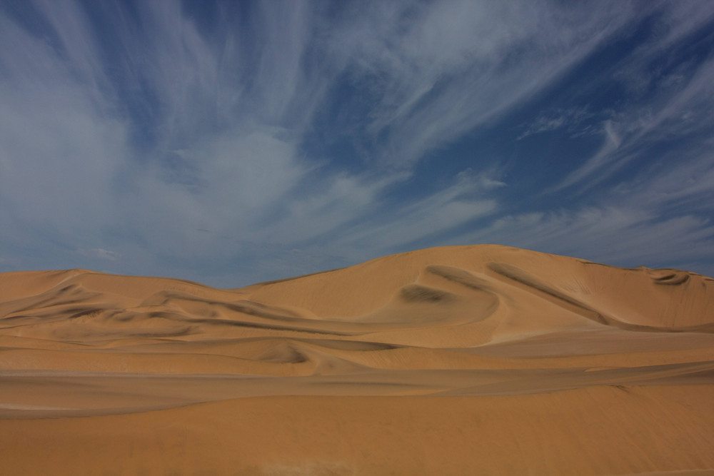 In den Dünen von Swakopmund (Namibia)