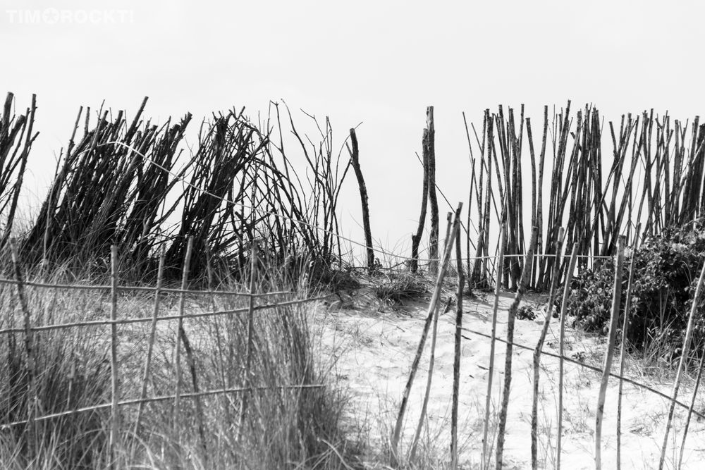 In den Dünen von Sylt